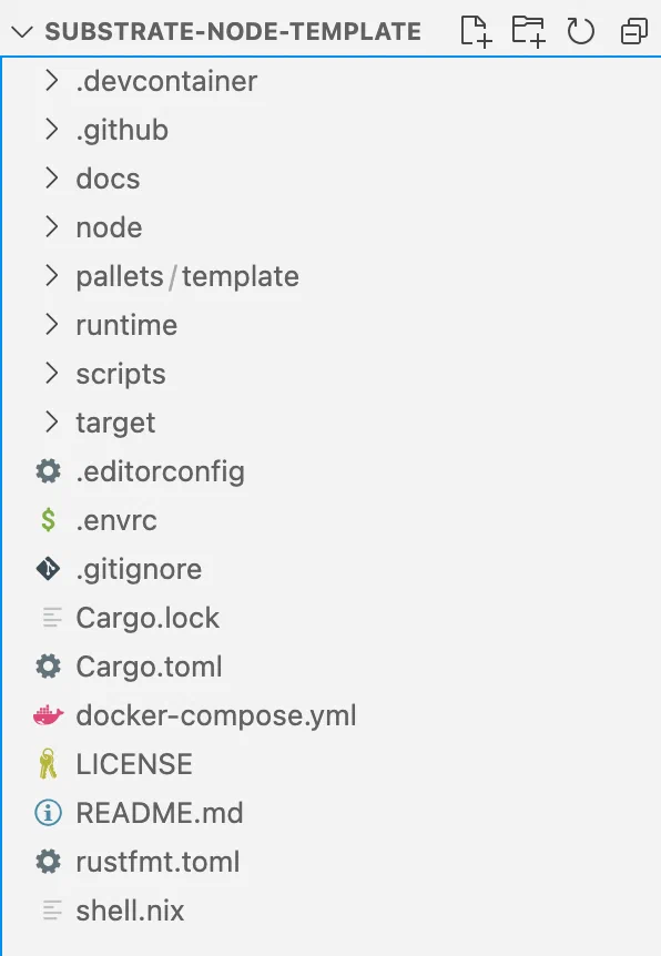 substrate-node-template directory structure