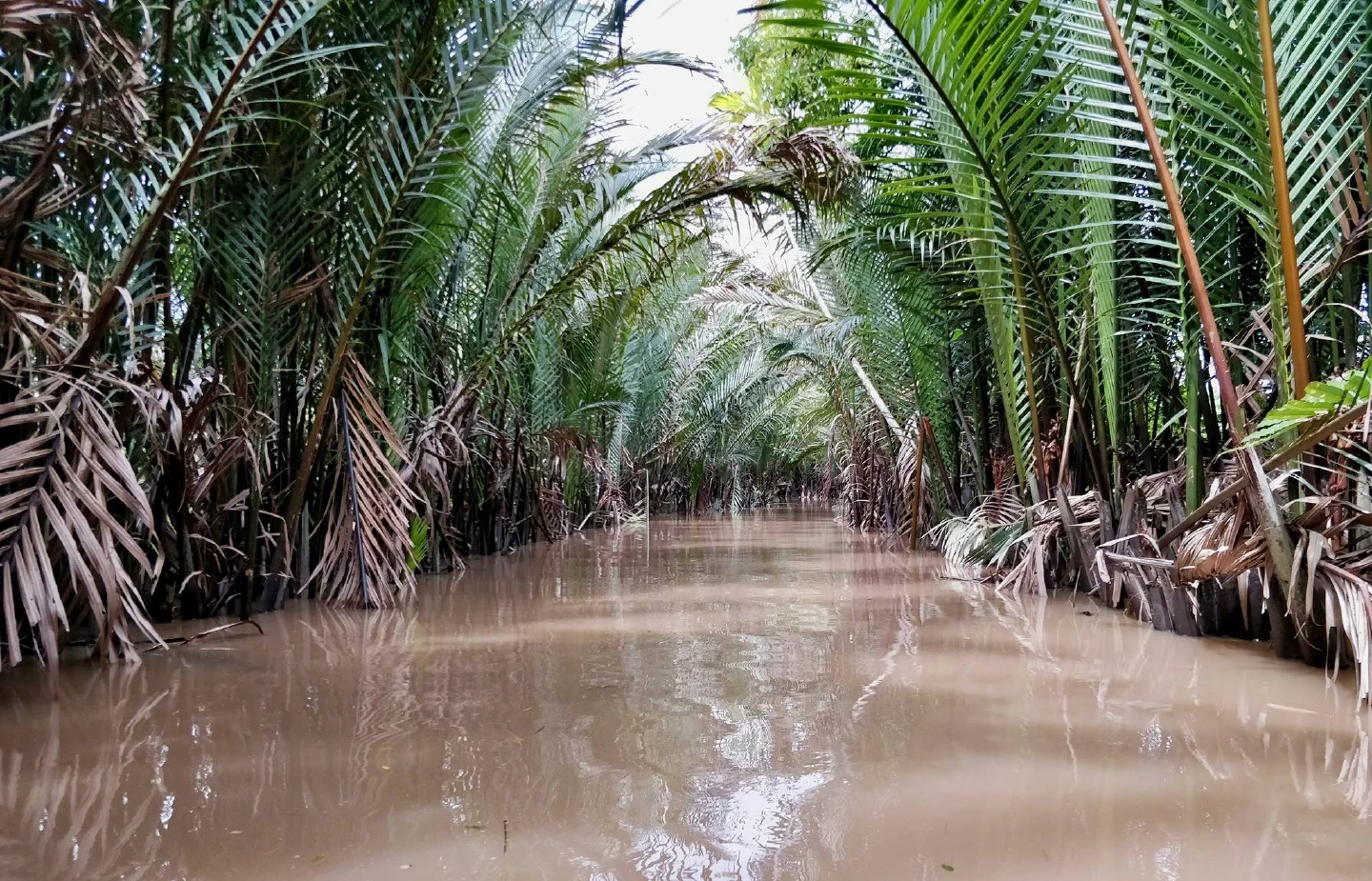 Vietnam